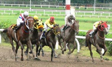 /deportes/hipodromo-presidente-remon-tiene-un-cartel-de-ocho-carreras/83540.html