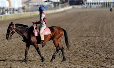 /vidasocial/sancionan-al-hipodromo-presidente-remon/48357.html