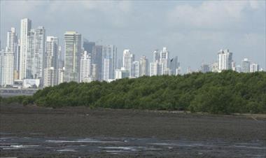 /vidasocial/la-sociedad-audubon-panama-lanza-dos-nuevos-planes/62268.html