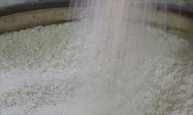 /vidasocial/solicitan-al-mida-informacion-sobre-la-importacion-de-arroz-proveniente-de-guyana/50839.html