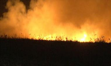 /vidasocial/en-la-pesa-de-caldera-se-produjo-incendio-de-masa-vegetal/44574.html