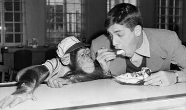 /cine/fallece-el-querido-actor-y-comediante-jerry-lewis/61198.html