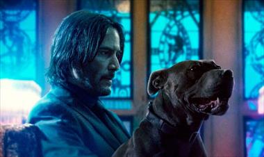 /cine/-the-continental-spin-off-de-john-wick-se-estrenara-en-2021/89716.html