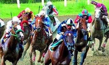 /deportes/jornada-hipica-de-hoy/38512.html