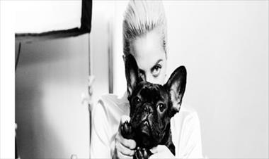 /spotfashion/lady-gaga-sera-la-nueva-imagen-de-tiffany-co/40733.html