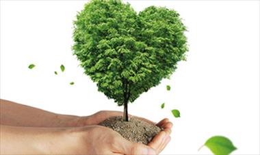 /vidasocial/la-primera-ley-de-proteccion-ambiental/63501.html
