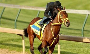 /deportes/se-definiran-jinetes-para-participar-en-el-belmont-stakes/53621.html