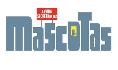 /cine/nuevo-trailer-la-pelicula-la-vida-secreta-de-tus-mascotas-/31458.html