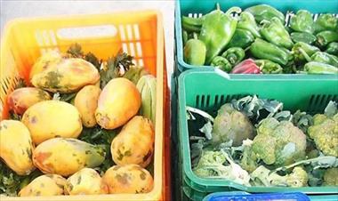 /vidasocial/merca-panama-realiza-donacion-al-banco-de-alimentos-de-panama/87459.html