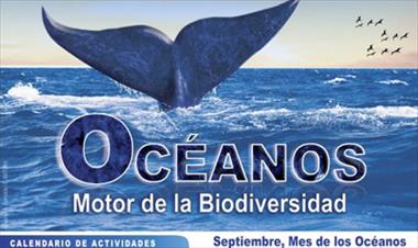 /vidasocial/actividades-para-el-mes-de-los-oceanos/32844.html