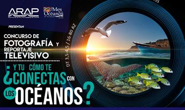 /vidasocial/panama-celebra-el-mes-de-los-oceanos/81253.html