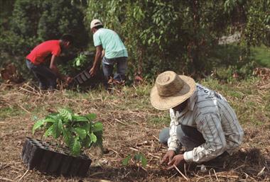 /vidasocial/cobre-panama-11-anos-haciendo-mineria-sostenible/93305.html