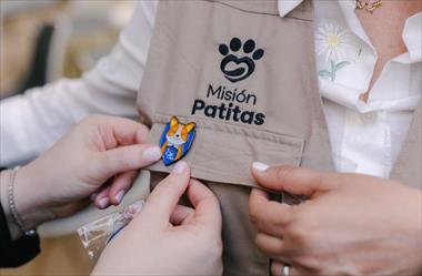 /vidasocial/nestle-purina-y-el-despacho-de-la-primera-dama-unen-esfuerzos-para-promover-la-tenencia-responsable-y-la-salud-de-los-gatos-esterilizados-en-panama/105398.html