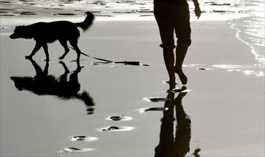 /vidasocial/mujer-y-su-perro-encontraron-pene-intacto-en-una-playa-de-inglaterra/65731.html