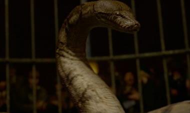 /cine/claudia-kim-conto-como-fue-el-casting-para-interpretar-a-nagini/82628.html