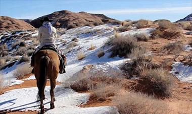 /vidasocial/hace-38-anos-el-desierto-del-sahara-se-cubrio-de-nieve-por-primera-vez/42443.html