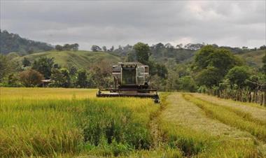 /vidasocial/empresa-agrosilos-lanza-al-mercado-local-arrossisimo-fortificado-/66913.html