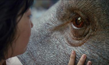 /cine/no-te-pierdas-el-trailer-de-okja-con-jake-gyllenhaal-y-tilda-swinton/51689.html