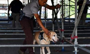 /vidasocial/panama-coordina-la-seguridad-para-la-jmj-2019/85426.html