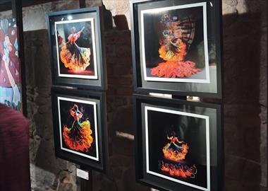 /vidasocial/el-flamenco-es-llevado-a-las-artes-plasticas-en-exposicion-flamenco-arte-universal-/104257.html