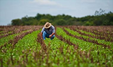 /vidasocial/panama-se-interesa-en-potenciar-las-actividades-del-sector-agricola/37615.html