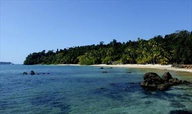 /vidasocial/fundacion-marviva-rechaza-el-pup-en-parque-coiba/72186.html