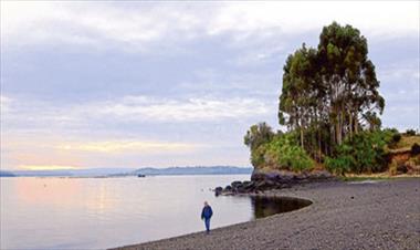 /cine/pelicula-de-jose-luis-torres-se-estrenara-en-el-festival-de-cine-de-valdivia/33413.html