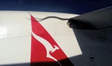 /vidasocial/video-piton-viaja-dos-horas-en-el-ala-de-un-avion/18250.html