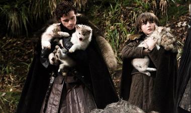 /cine/-por-que-jon-snow-no-se-despide-de-su-lobo-/87840.html