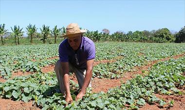 /vidasocial/productores-agropecuarios-no-recibieron-respuestas/80104.html