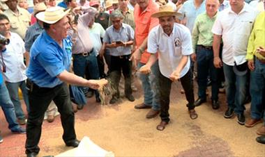 /vidasocial/productores-de-arroz-manifestaran-el-lunes-por-importacion-del-rubro/39688.html