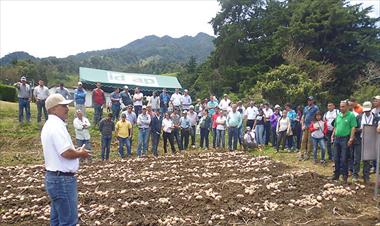 /vidasocial/productores-panamenos-realizaran-jornada-de-protestas/82670.html