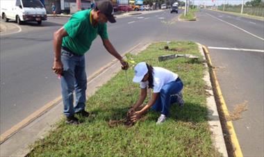 /vidasocial/inicio-programa-de-arbolizacion-huella-verde-en-ciudad-de-panama/55890.html