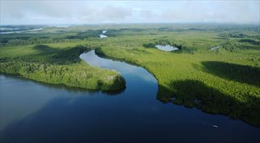 /vidasocial/organizaciones-ambientales-piden-a-la-corte-suprema-de-justicia-que-declare-ilegal-la-aprobacion-del-estudio-de-impacto-ambiental-del-polemico-puerto/105032.html