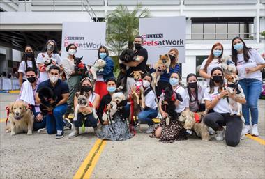 /vidasocial/los-colaboradores-de-nestle-en-panama-llevan-sus-mascotas-a-la-oficina-con-el-programa-pets-at-work-de-purina/92688.html