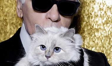 /spotfashion/-que-pasara-con-la-adorada-gata-de-karl-lagerfeld-/86280.html