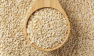 /vidasocial/5-cereales-esenciales-que-pueden-ayudar-a-combatir-el-estres-y-llenarte-de-energia/45033.html