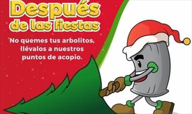 /vidasocial/se-habilitara-un-centro-de-acopio-para-recolectar-los-arbolitos-de-navidad/39079.html