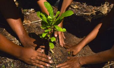 /vidasocial/paises-de-centroamerica-trabajan-en-la-recuperacion-de-bosques/53507.html