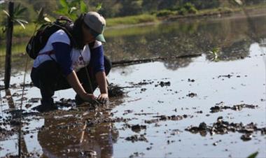 /vidasocial/recuperando-el-verde-de-la-laguna/41865.html