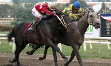 /deportes/8-equinos-panamenos-veran-accion-el-dia-de-hoy-en-el-hipodromo-camarero-en-puerto-rico/37567.html