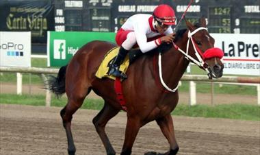 /deportes/cartilla-hipica-del-hipodromo-presidente-remon-de-hoy/80596.html