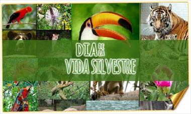 /vidasocial/evento-del-dia-mundial-de-la-vida-silvestre-/74157.html