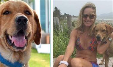 /vidasocial/aparecio-simba-la-mascota-de-karen-chalmers/42879.html