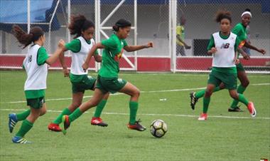 /deportes/definen-al-representativo-para-el-campeonato-de-ninas-sub-15/79697.html