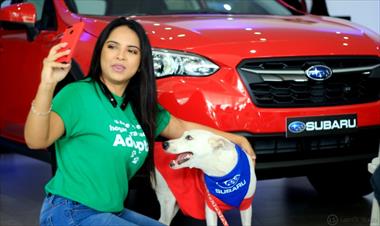 /vidasocial/presentan-la-nueva-subaru-xv-con-motor-1-6-en-el-marco-del-cierre-de-la-campana-de-adopciones-de-mascotas/82191.html