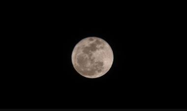 /vidasocial/panamenos-disfrutaron-de-la-superluna/70939.html