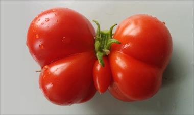 /vidasocial/asi-de-misteriosa-es-la-naturaleza-y-estos-vegetales-son-la-muestra/60001.html