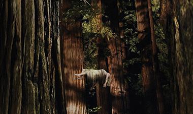 /cine/-woodshock-trailer-de-la-nueva-pelicula-de-kirsten-dunst/50678.html