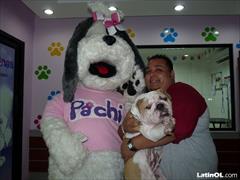 Foto 39
